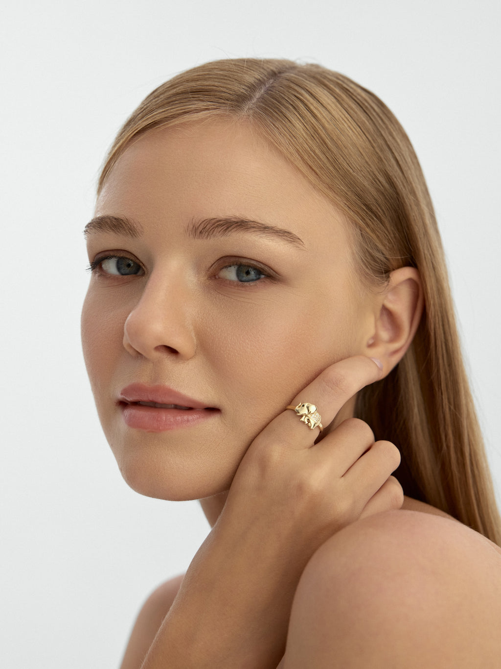 Elephant Stone Ring in 14K Gold