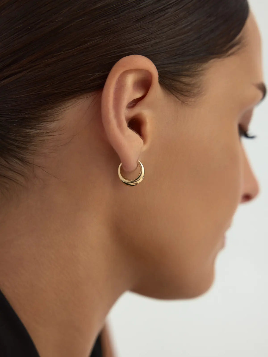Domed Bold Hoop Earrings in 14K Gold