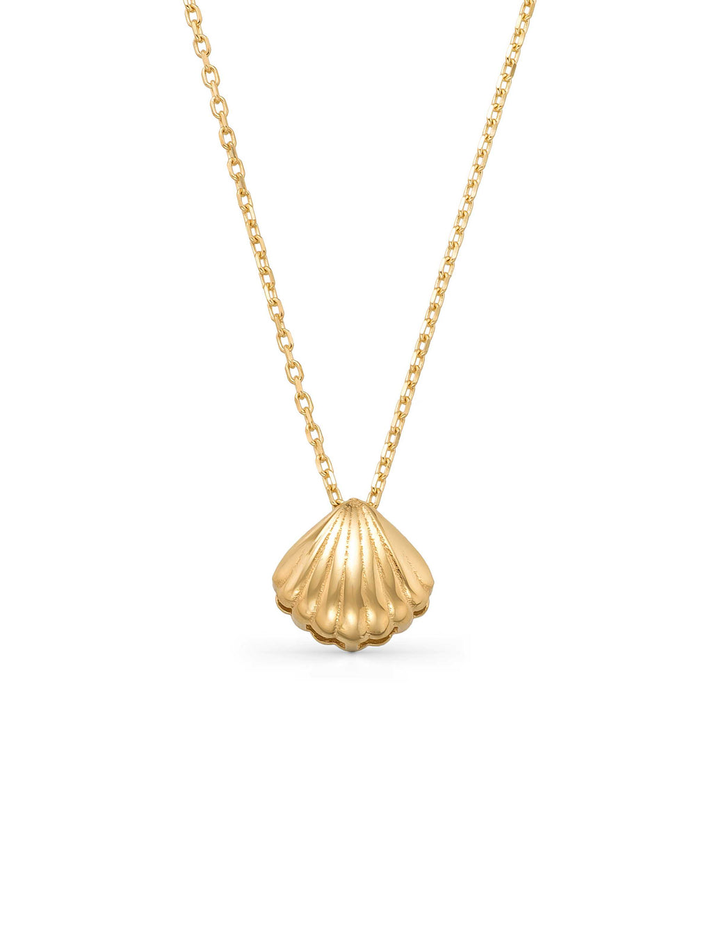 Deniz Shell Necklace in 14K Gold by Elef Jewelry