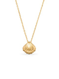 Deniz Shell Necklace in 14K Gold by Elef Jewelry