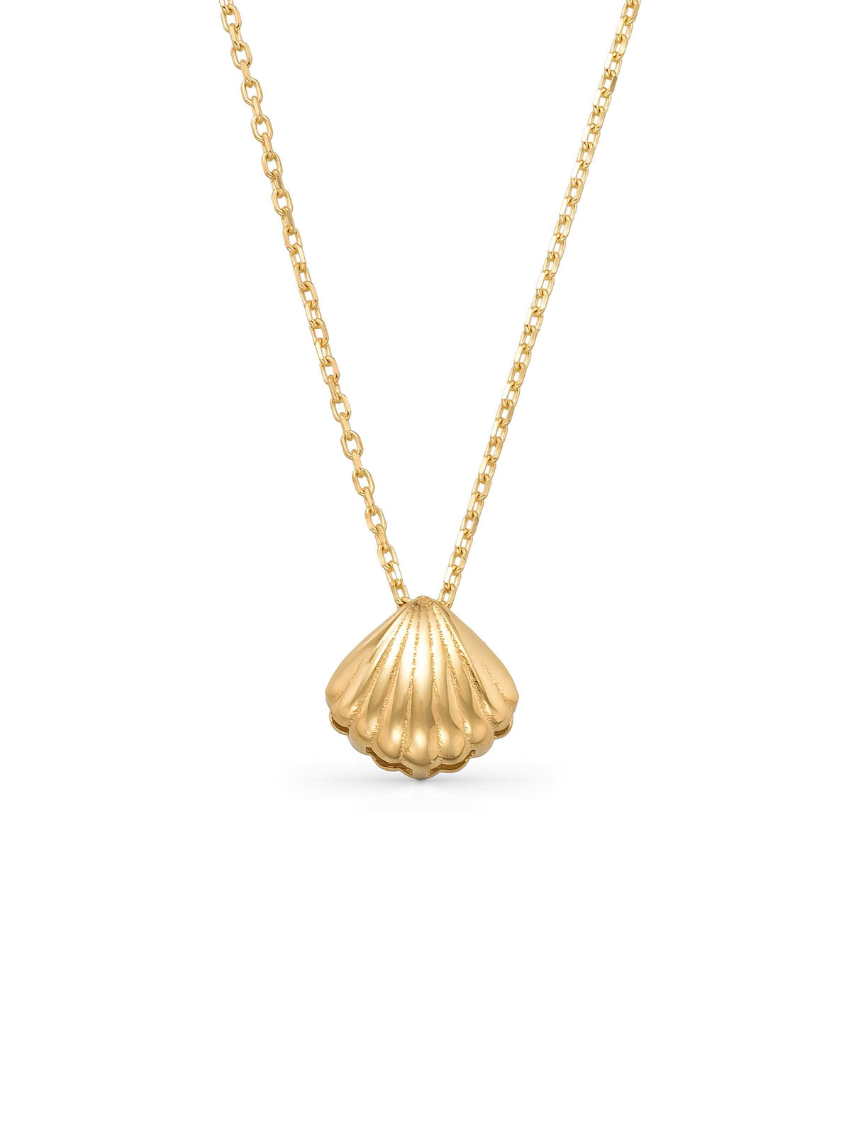 Deniz Shell Necklace in 14K Gold by Elef Jewelry