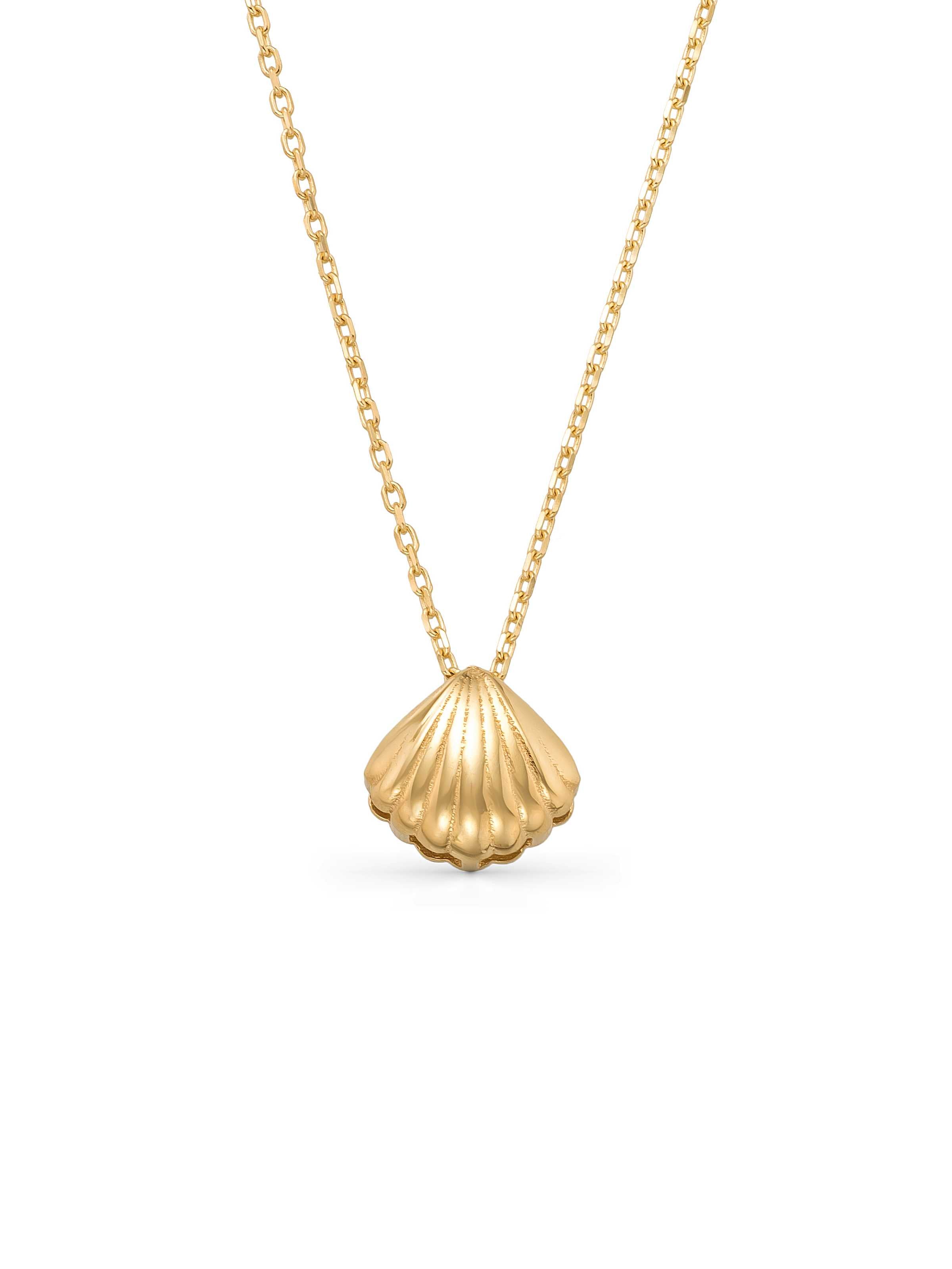 Deniz Shell Necklace in 14K Gold by Elef Jewelry