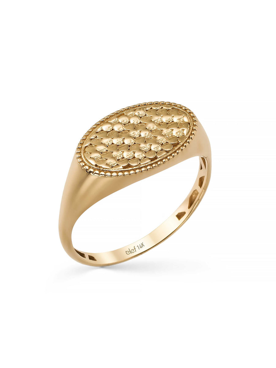 Oval Motif Ring in 14K Gold